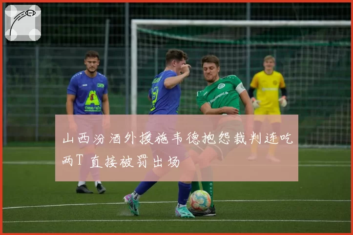 山西汾酒外援施韦德抱怨裁判连吃两T 直接被罚出场