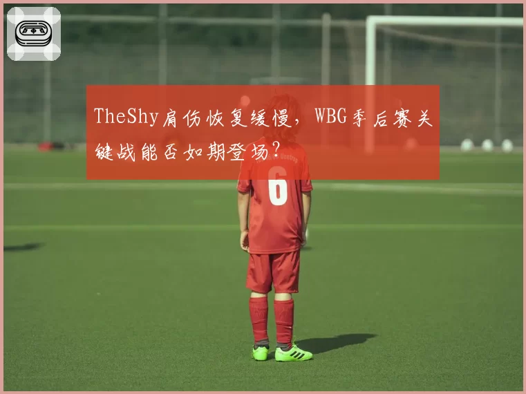 TheShy肩伤恢复缓慢,WBG季后赛关键战能否如期登场?