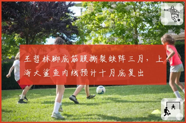 王哲林脚底筋膜撕裂缺阵三月,上海大鲨鱼内线预计十月底复出