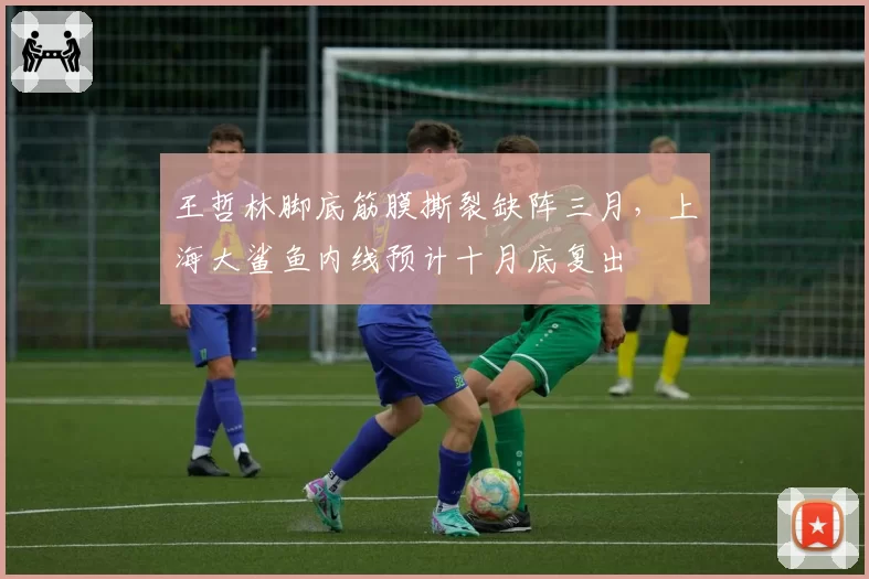 王哲林脚底筋膜撕裂缺阵三月，上海大鲨鱼内线预计十月底复出