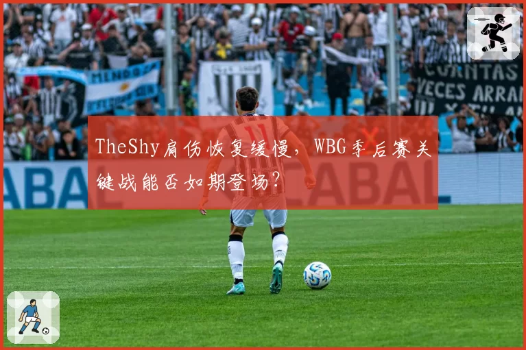 TheShy肩伤恢复缓慢,WBG季后赛关键战能否如期登场?